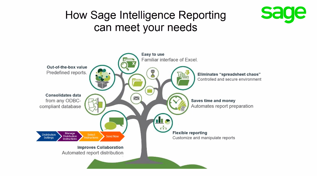Business Intelligence Reporting